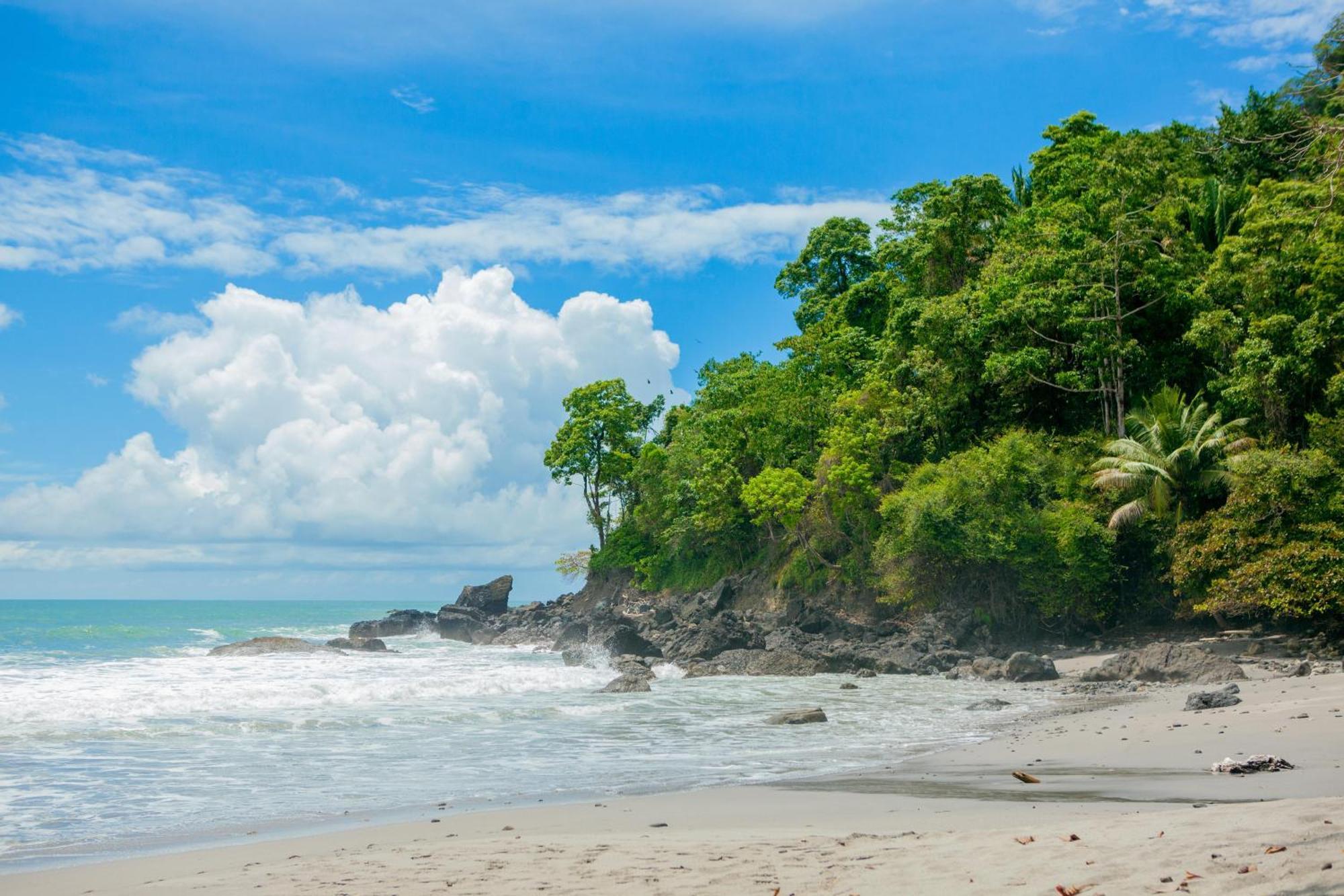 Arenas Del Mar Beachfront & Rainforest Resort Member Of The Cayuga Collection Manuel Antonio Dış mekan fotoğraf