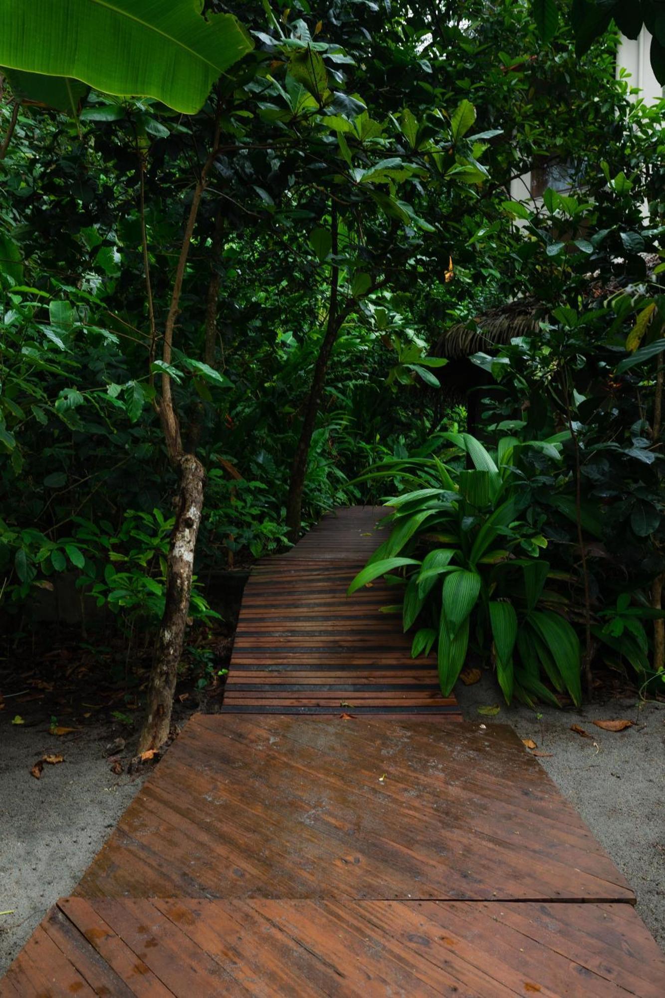 Arenas Del Mar Beachfront & Rainforest Resort Member Of The Cayuga Collection Manuel Antonio Dış mekan fotoğraf