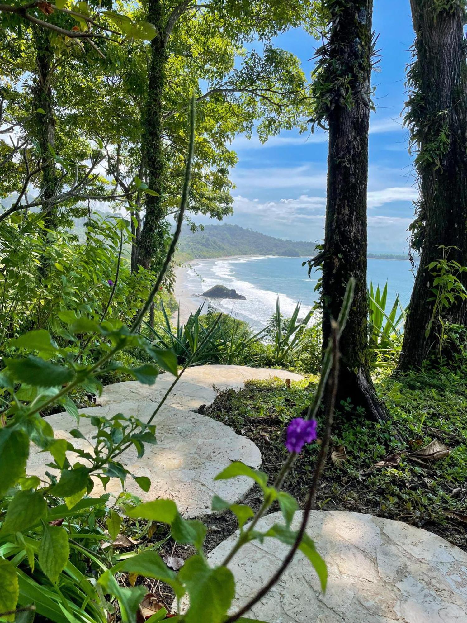 Arenas Del Mar Beachfront & Rainforest Resort Member Of The Cayuga Collection Manuel Antonio Dış mekan fotoğraf